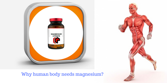 Why Human Body Needs Magnesium For Functioning?